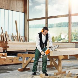 STIHL električna testera